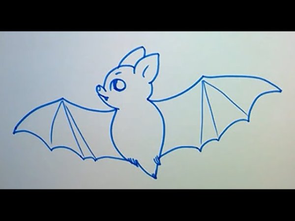 Лёгкие рисунки летучей мыши