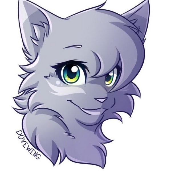 Коты Воители Голубка