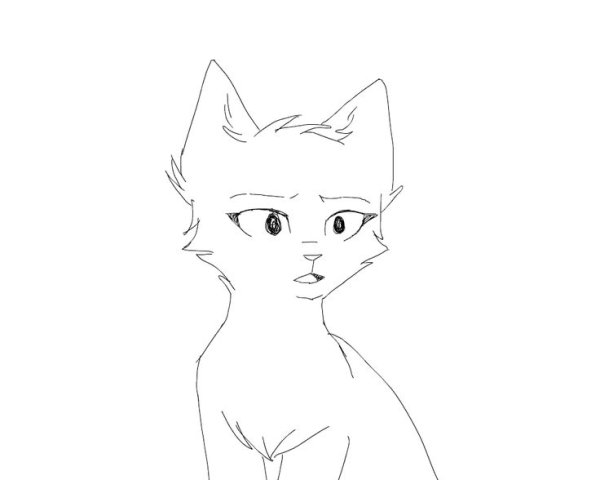 Коты Воители для рисования