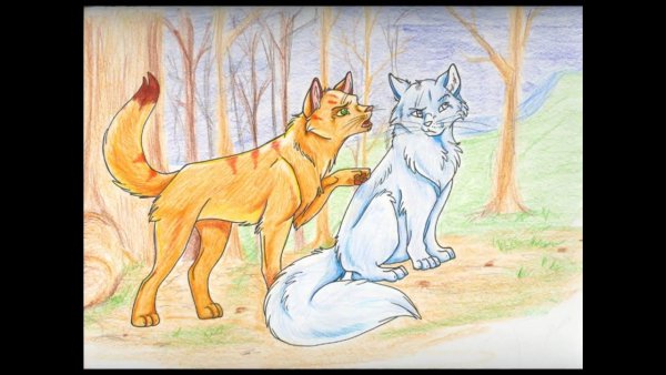 Коты Воители белохвост и Огнегрив