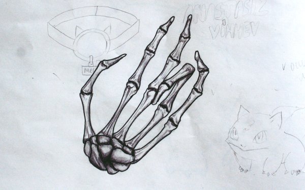 Кость нарисованная