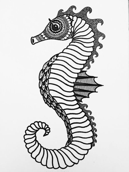 Морской конек рисунок