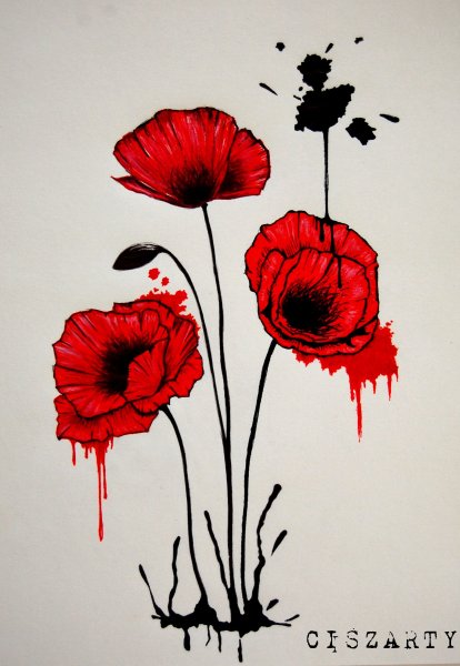 Маки Наброски