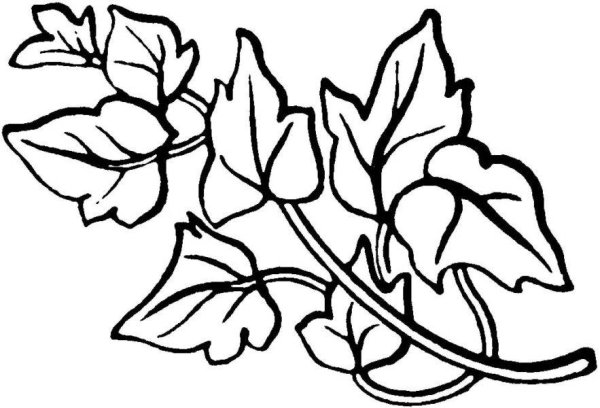 Лёгкий узор для выжигания