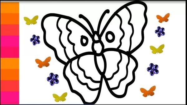 Рисунки бабочек для срисовки