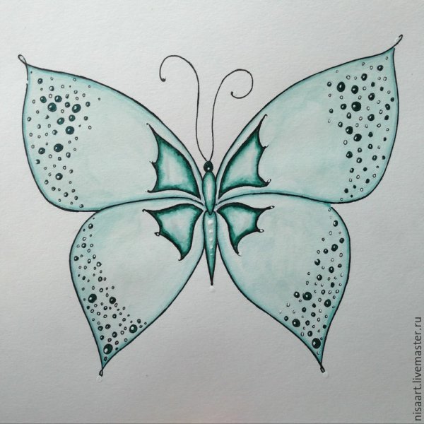 Бабочки для срисовки легкие