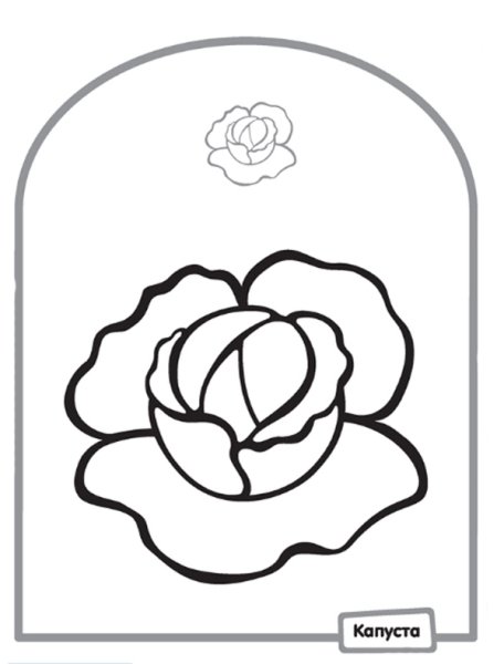 Капуста раскраска простая