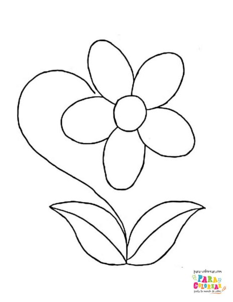 Лилия карандашом