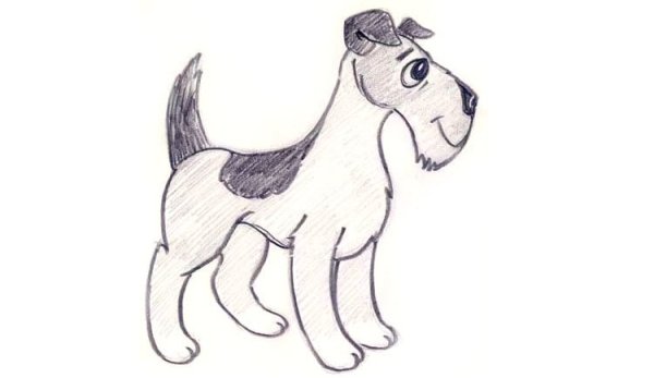 Красивые рисунки карандашом