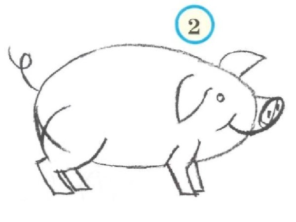 Свинья карандашом