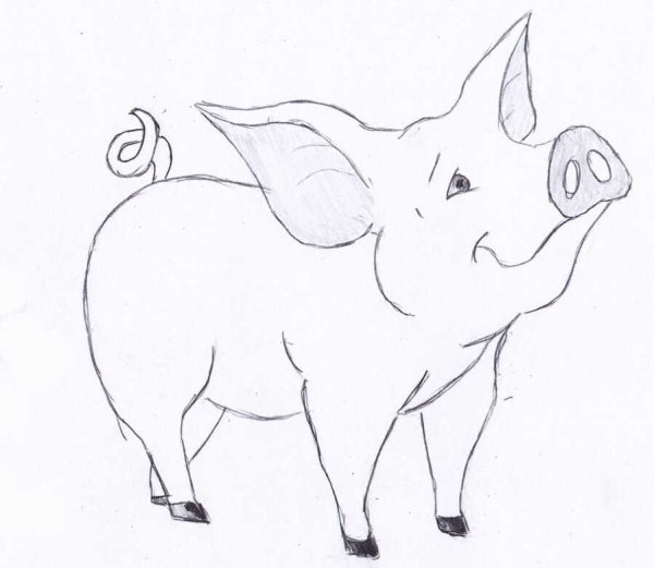 Раскраска свинья для детей 3-4 лет