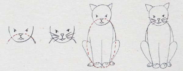 Тело сидящего кота