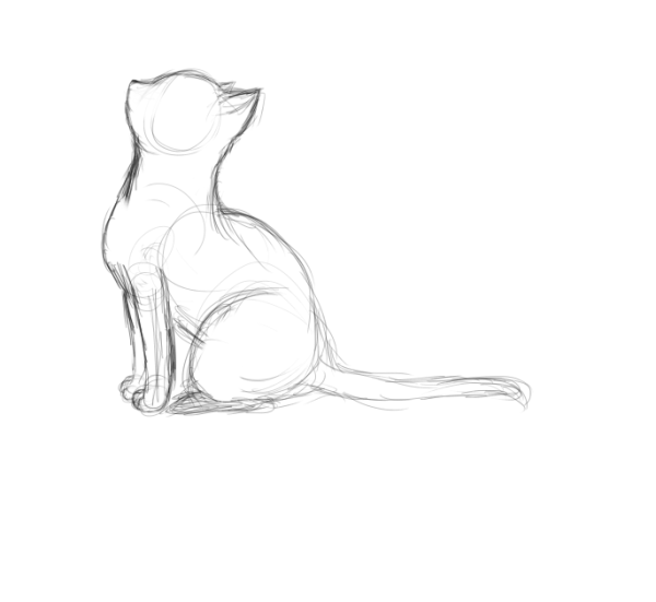 Кошка сидит набросок