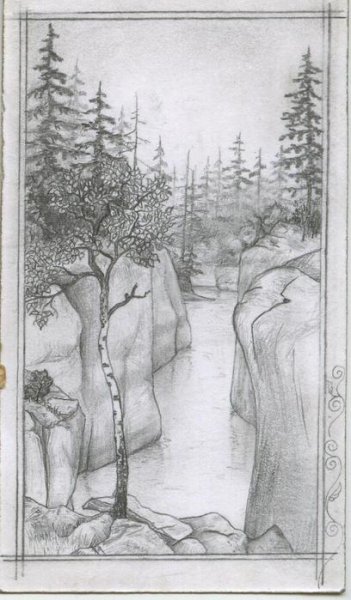 Тайга рисунок