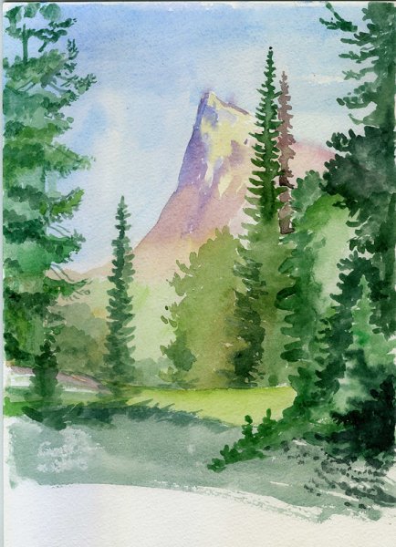 Тайга рисунок