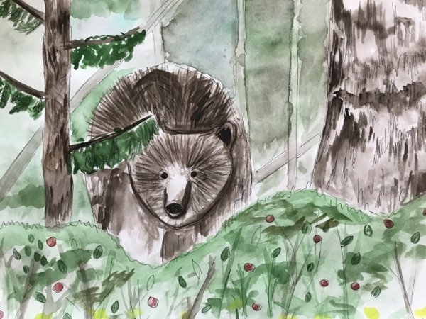 Тайга рисунок