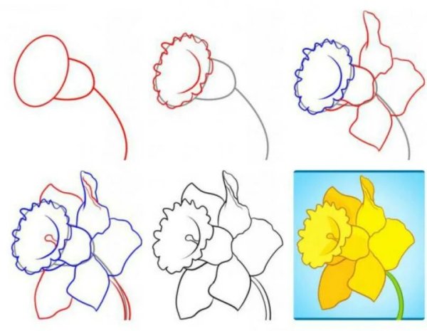 Схемы рисования цветов