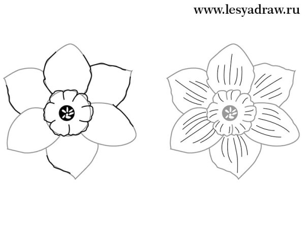 Рисование цветов поэтапно