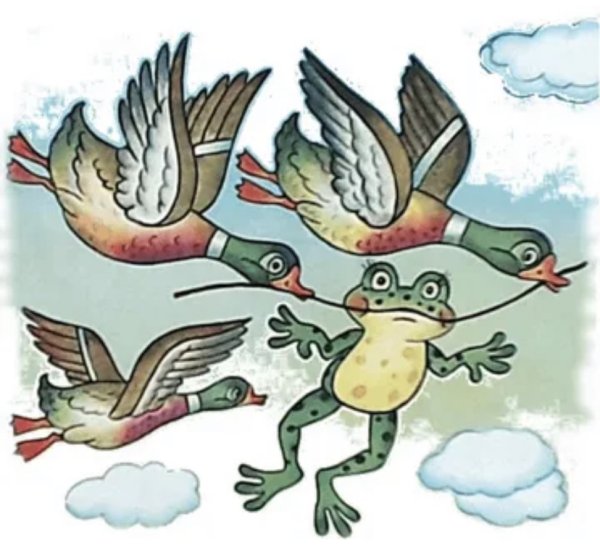 Лягушка путешественница на болоте