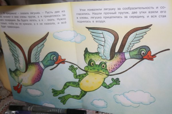 Лягушка путешественница раскраска