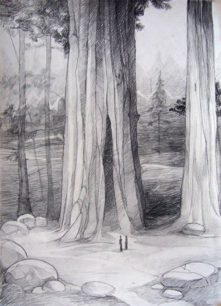 Детские рисунки леса карандашом