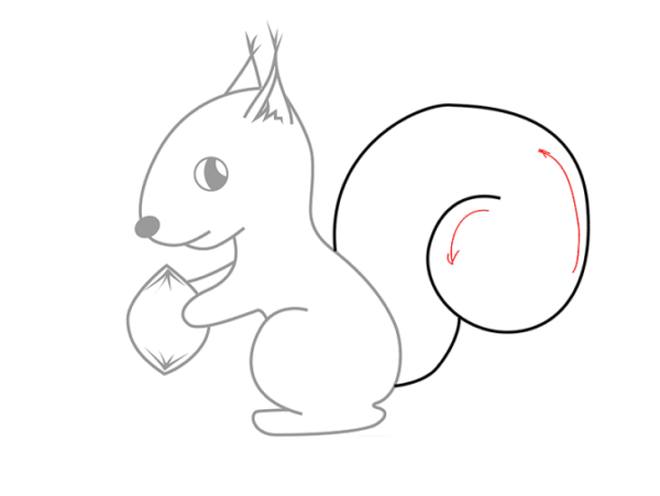 Поэтапное рисование белки