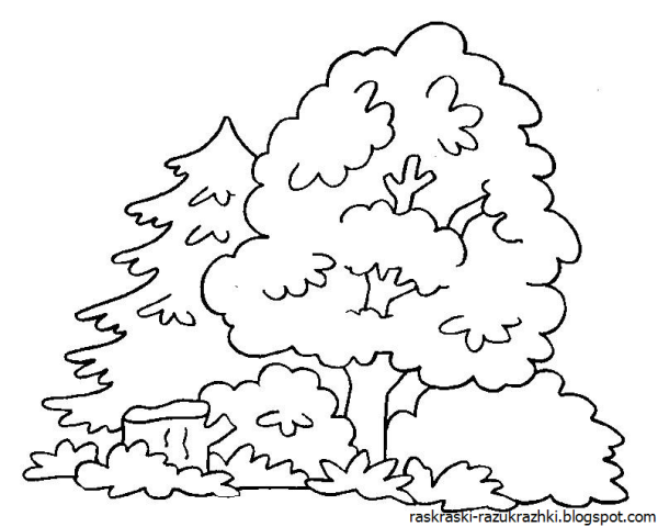 Осень цветными карандашами для детей