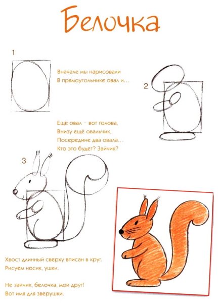 Белка рисование для детей