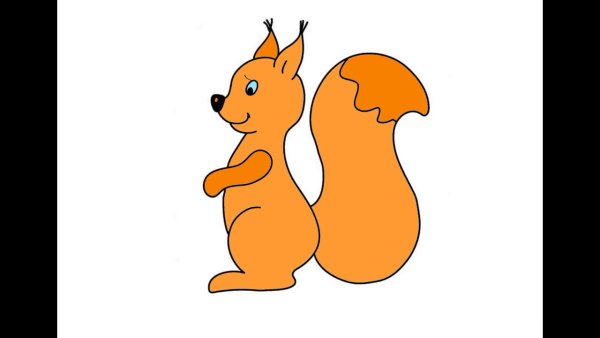 Рисунок белки карандашом
