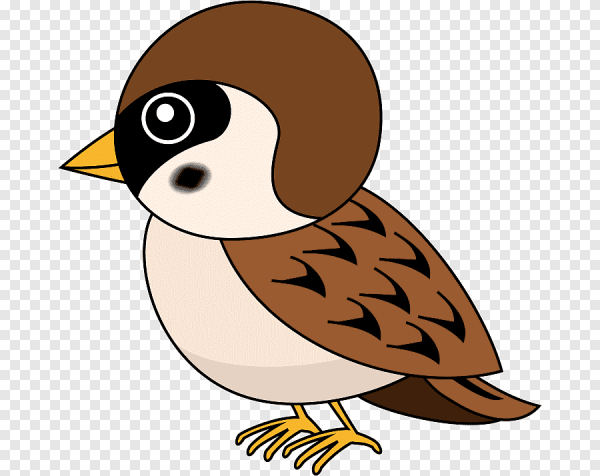 Поэтапное рисование воробья