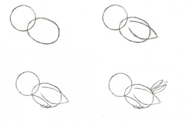 Воробей пошаговое рисование