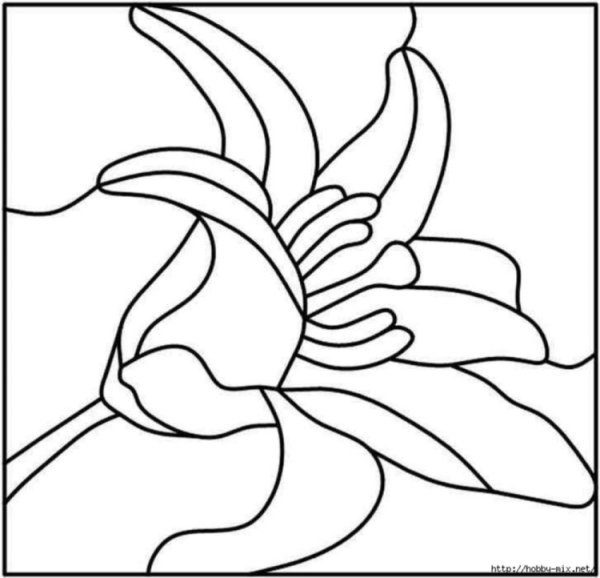 Кинусайга тюльпаны