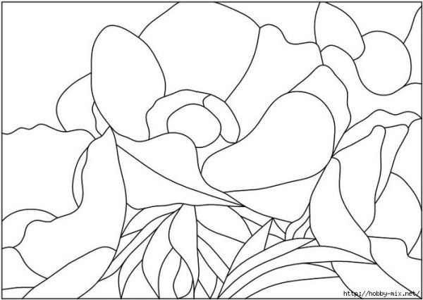 Кинусайга синичка