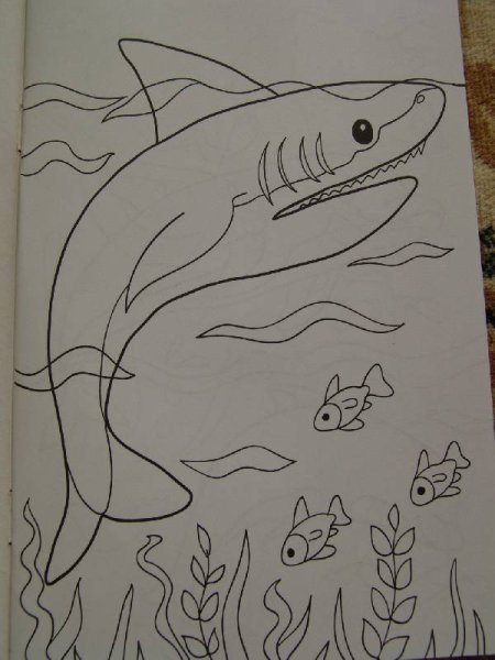 Подводный мир рисунок карандашом