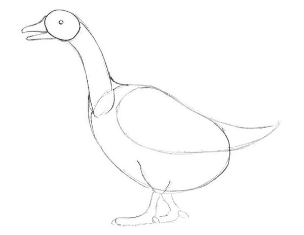 Гусь рисунок для детей