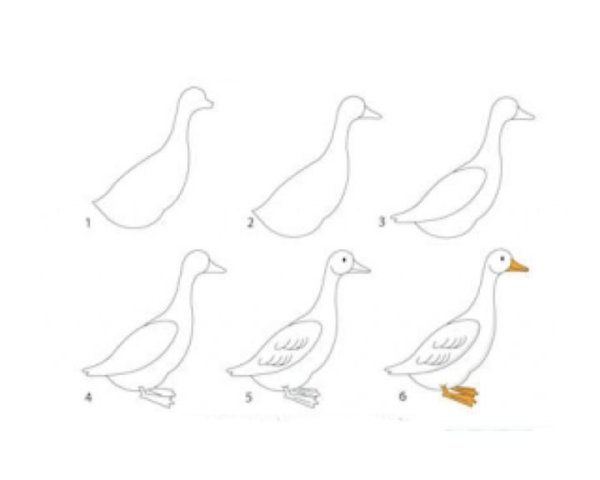 Гусь поэтапное рисование для детей