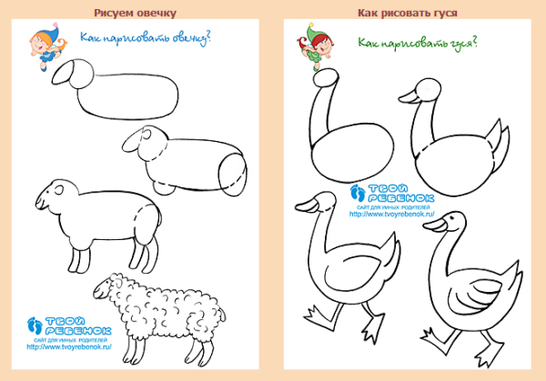 Зарисовка гуся