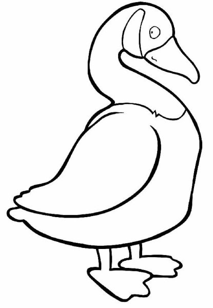 Нарисовать утку