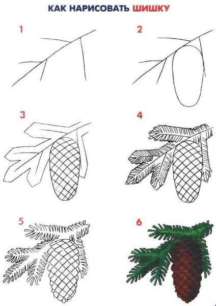 Рисование Еловая веточка