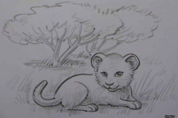 Лев рисование для детей