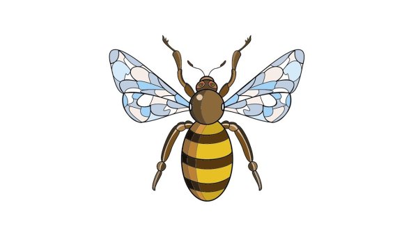 Поэтапное рисование пчелы