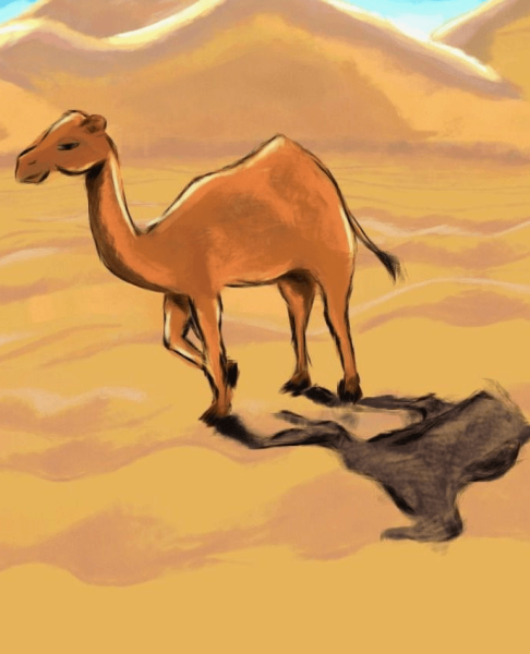 Рисунок пустыни карандашом