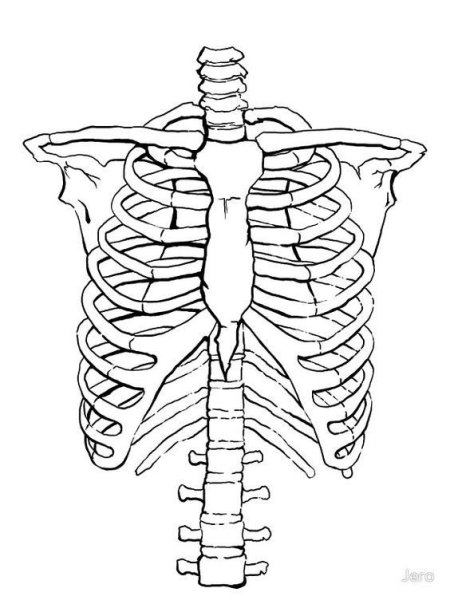 Кости для костюма Кощея