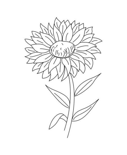 Георгины раскраска