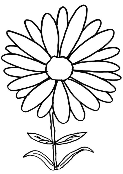 Астра раскраска