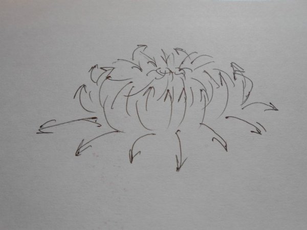 Вышивка лентами хризантемы схемы