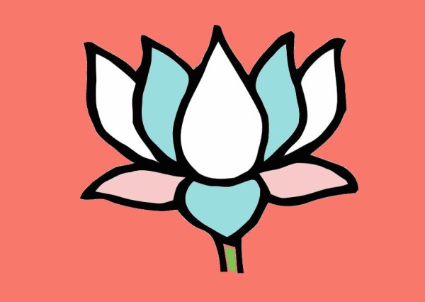 Цветы рисунок