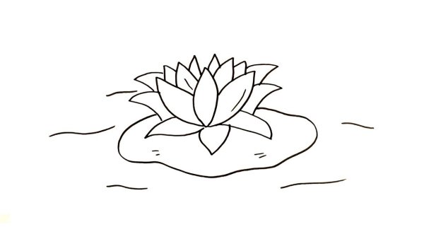 Цветы контур