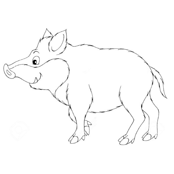 Кабанчик раскраска для детей