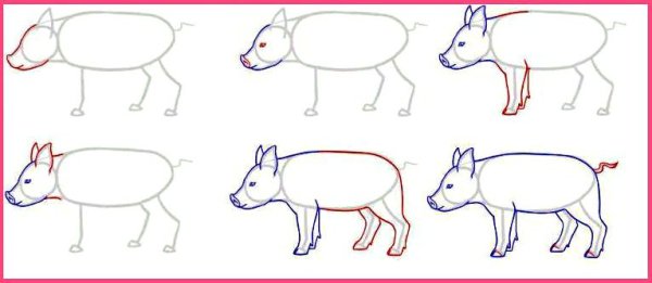 Дикий кабан для срисовки